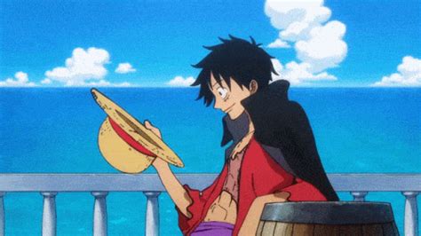 ワンピースgif|One Piece GIFs